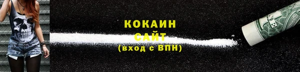 таблы Новозыбков
