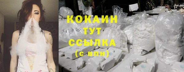 таблы Новозыбков