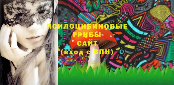 таблы Новозыбков