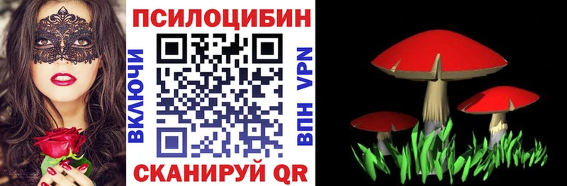 Псилоцибиновые грибы MAGIC MUSHROOMS  наркотики  Курильск 