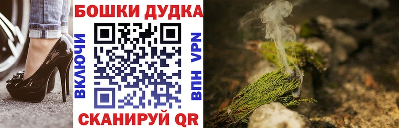 Каннабис планчик  Курильск 